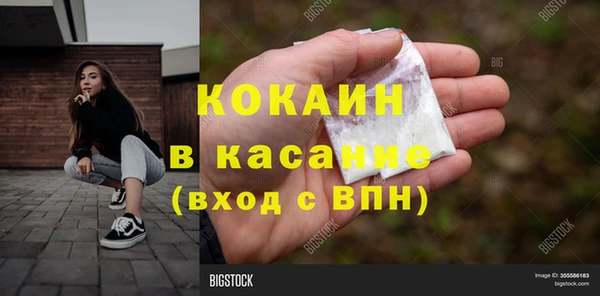 индика Волоколамск